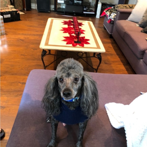 Welcome!! Thanks for visiting our closet! We look forward to visiting yo… - Picture 9 of 9